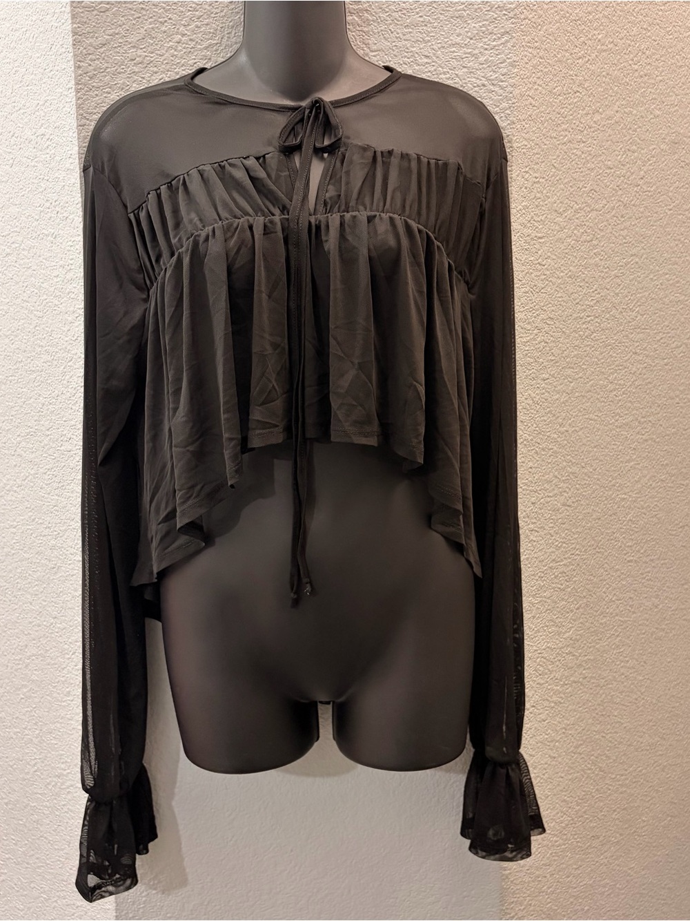 Flowy Mesh Long Sleeve Top
